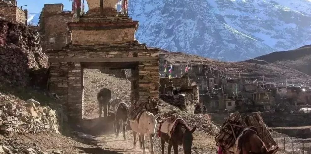 Nar-Phu-Valley-Trek